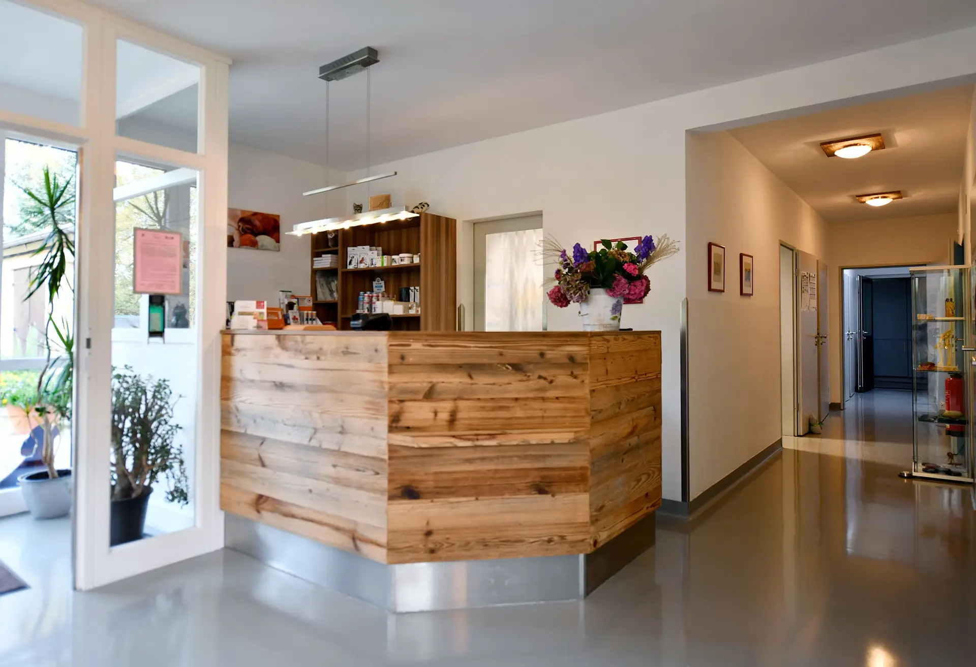 Empfangsbereich der Praxis mit Tresen, Eingangsbereich und Flur.