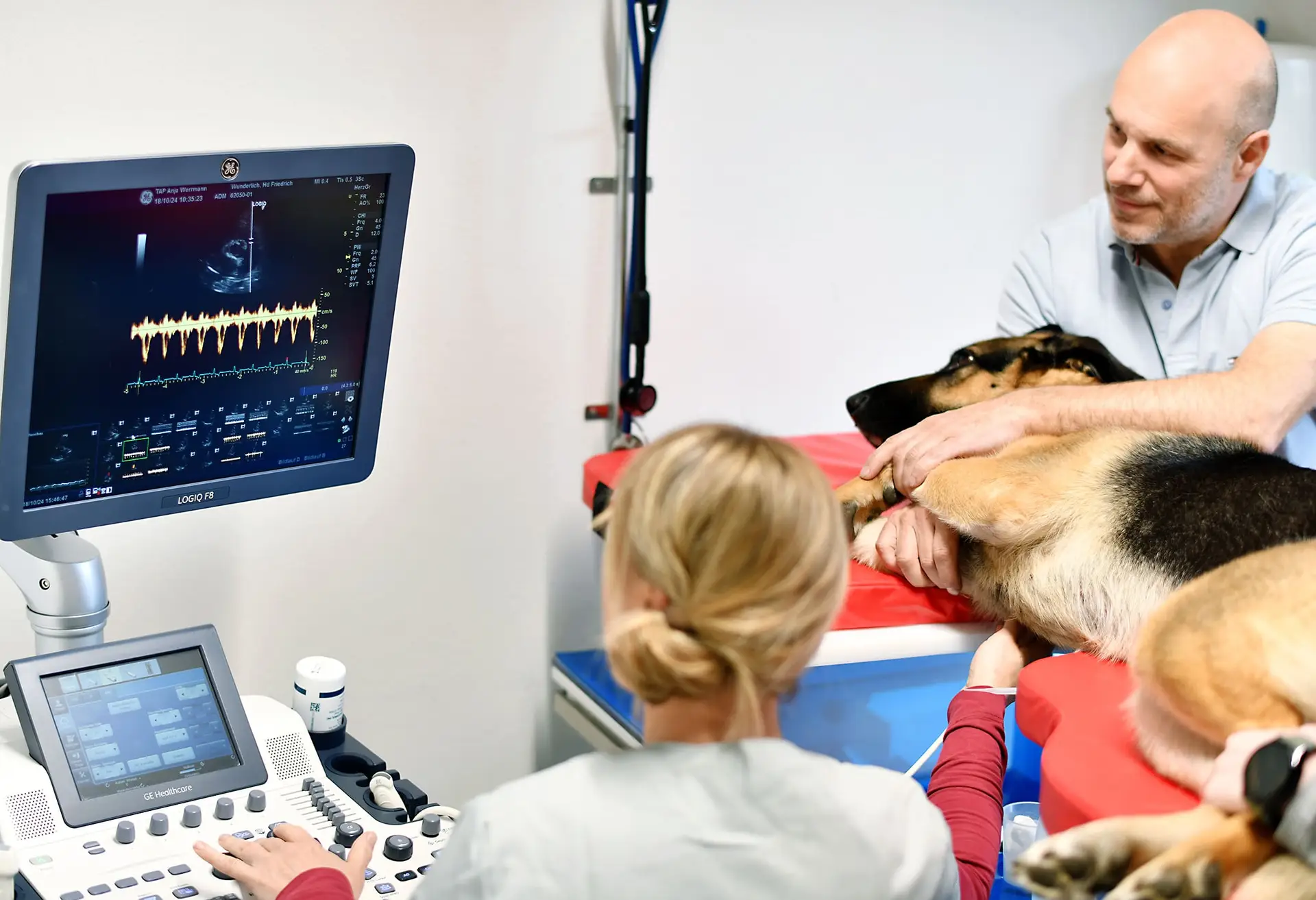 Ein Hund liegt auf einem Behandlungstisch und wird von einem Mann mit Glatze festgehalten. Die Tierärztin sitzt an einem Ultraschallgerät und führt eine Untersuchung bei dem Hund durch.